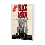 Black Labor, White Wealth : The Search for Power and Economic Justice